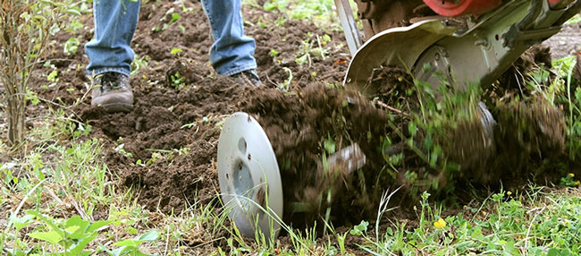 aerate soil during tree planting