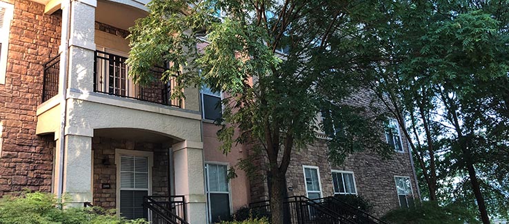 Tree location near building steps and sidewalk