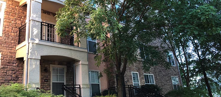 Tree location near building steps and sidewalk