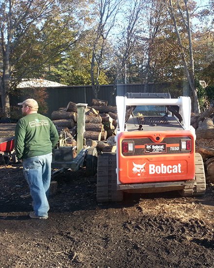 tree removal in johns creek ga emergency cutting