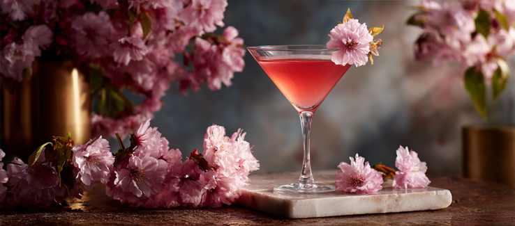 artistic presentation of culinary cherry blossoms cocktail