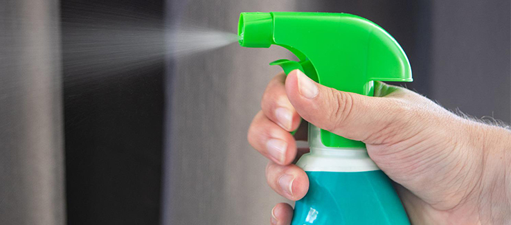 Bleach can be used as a topical solution to kill fungi on a tree