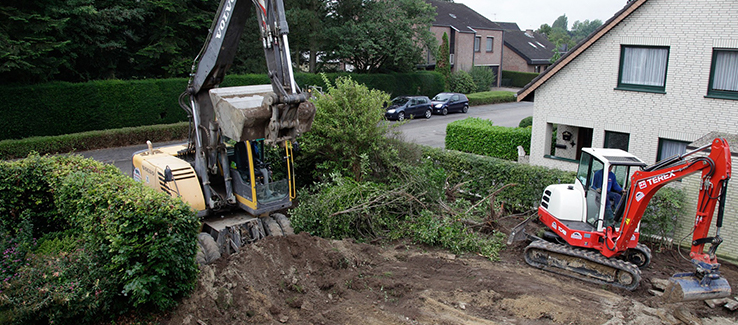 Trees are heavily impacted when digging or trenching activities sever or damage roots