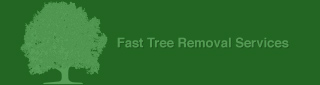 fast tree service atlanta