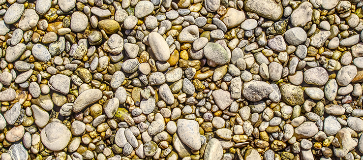 Install a gravel dry river bed to help channel excess water away