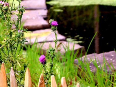 Landscape edging can be done with stones bricks and fencing