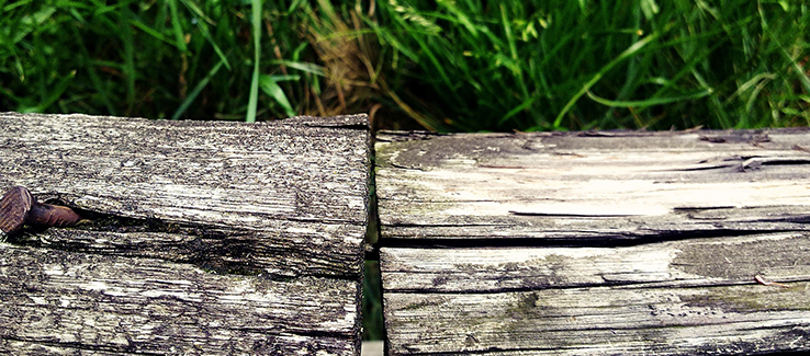 Landscape edging can be done with railroad ties