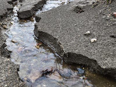 Prevent soil erosion by planting ground cover and diverting water