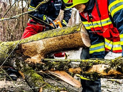 Storm damaged fallen tree emergency removal