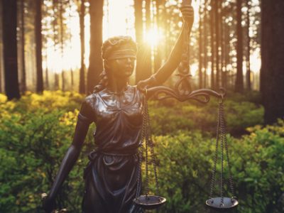 Tree removal recompense and fines Atlanta Ga