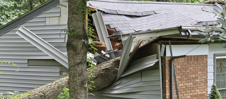 Tree fell damaged house in Atlanta Georgia