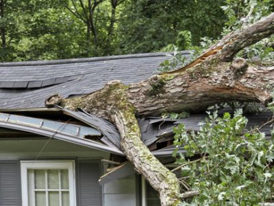 Tree fell on house emergency Atlanta Ga