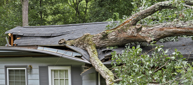 Tree fell on house emergency Atlanta Ga