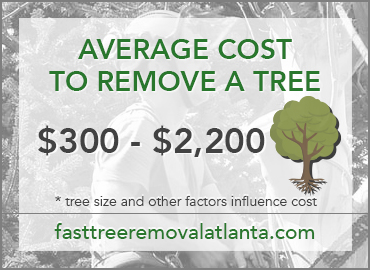 Tree removal average cost