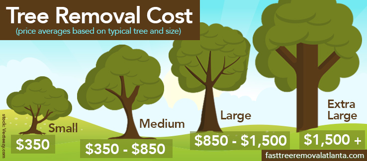 Cost of tree removal by size