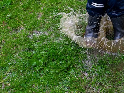 Accumulated water from poor drainage