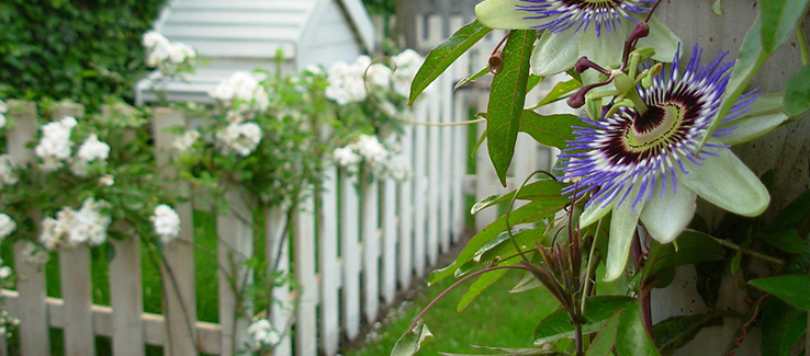 Landscape edging can be done with wood fencing